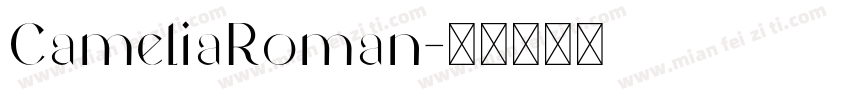 CameliaRoman字体转换