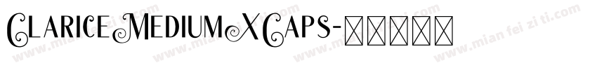 ClariceMediumXCaps字体转换