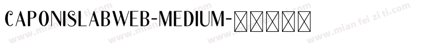 caponislabweb-medium字体转换