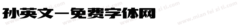 孙英文字体转换