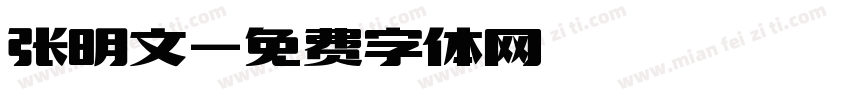 张明文字体转换