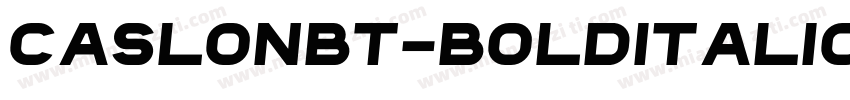 CaslonBT-BoldItalic字体转换