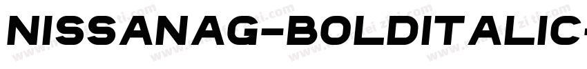 NissanAG-BoldItalic字体转换