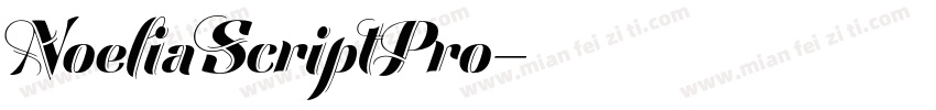 NoeliaScriptPro字体转换