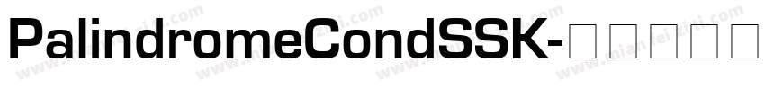 PalindromeCondSSK字体转换