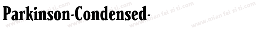 Parkinson-Condensed字体转换