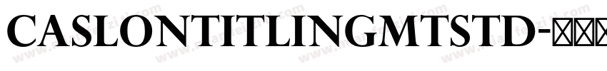 CaslonTitlingMTStd字体转换