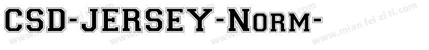 CSD-JERSEY-Norm字体转换