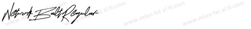 NetworkBaltRegular字体转换