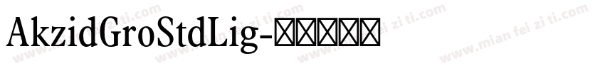 AkzidGroStdLig字体转换