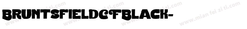 BruntsfieldCFBlack字体转换