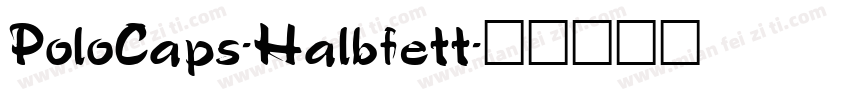 PoloCaps-Halbfett字体转换