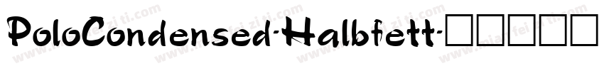 PoloCondensed-Halbfett字体转换