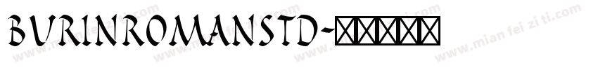 BurinRomanStd字体转换