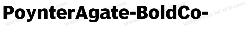 PoynterAgate-BoldCo字体转换
