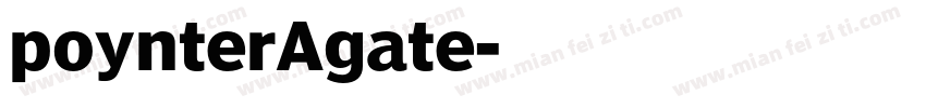 poynterAgate字体转换