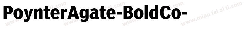 PoynterAgate-BoldCo字体转换