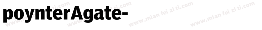poynterAgate字体转换