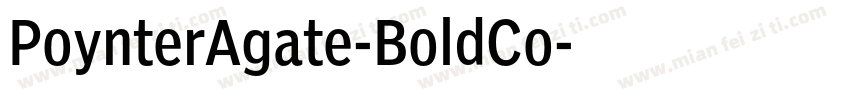PoynterAgate-BoldCo字体转换