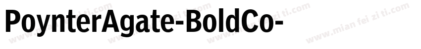 PoynterAgate-BoldCo字体转换