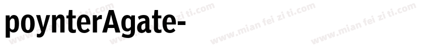 poynterAgate字体转换