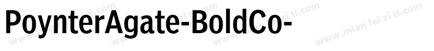 PoynterAgate-BoldCo字体转换
