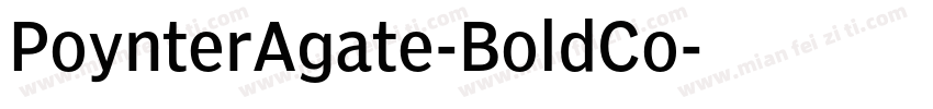 PoynterAgate-BoldCo字体转换