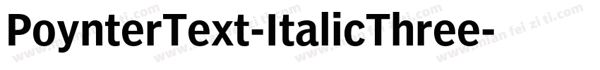 PoynterText-ItalicThree字体转换