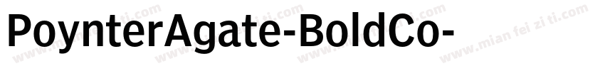PoynterAgate-BoldCo字体转换