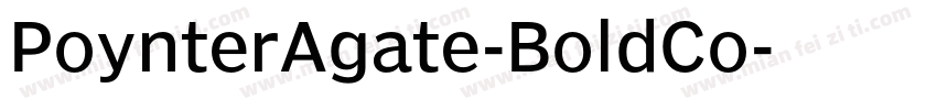PoynterAgate-BoldCo字体转换
