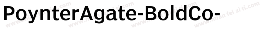 PoynterAgate-BoldCo字体转换