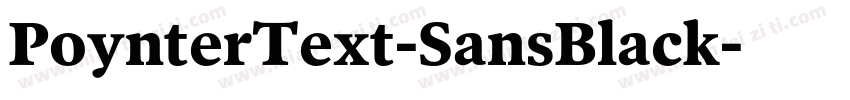 PoynterText-SansBlack字体转换