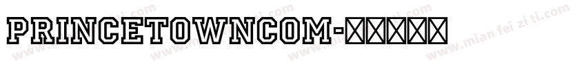 PrincetownCom字体转换