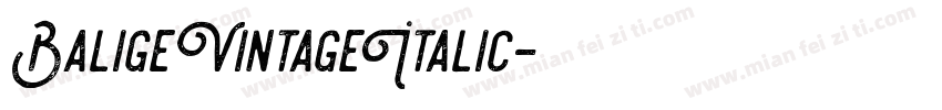 BaligeVintageItalic字体转换