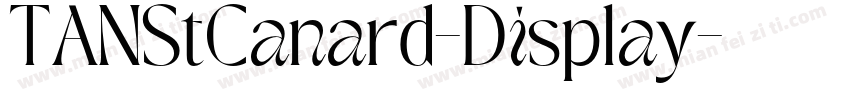 TANStCanard-Display字体转换