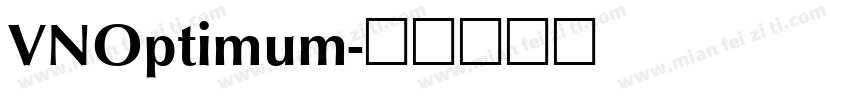 VNOptimum字体转换