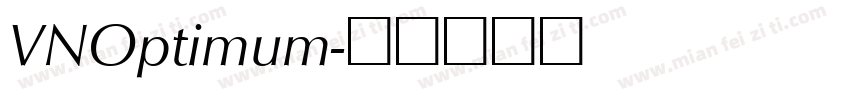 VNOptimum字体转换