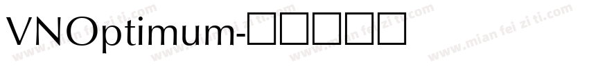 VNOptimum字体转换