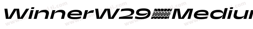 WinnerW29-Medium字体转换