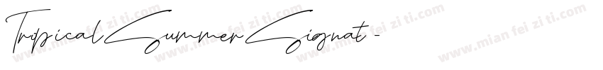 TropicalSummerSignat字体转换