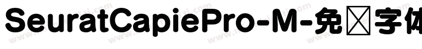 SeuratCapiePro-M字体转换