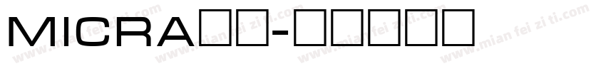 micra粗体字体转换