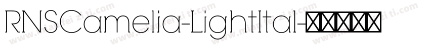 RNSCamelia-LightItal字体转换