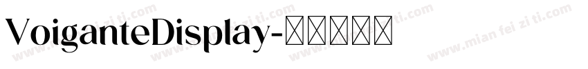 VoiganteDisplay字体转换