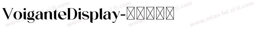 VoiganteDisplay字体转换