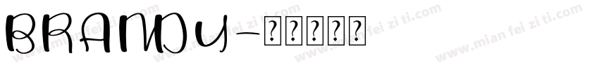 BRANDY字体转换