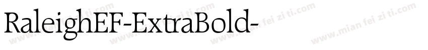 RaleighEF-ExtraBold字体转换
