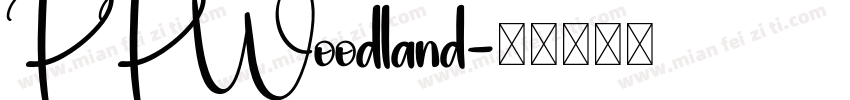 PPWoodland字体转换