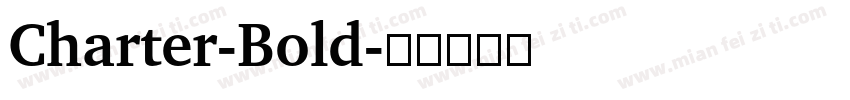 Charter-Bold字体转换