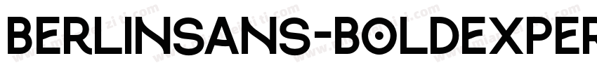 Berlinsans-BoldExpert字体转换